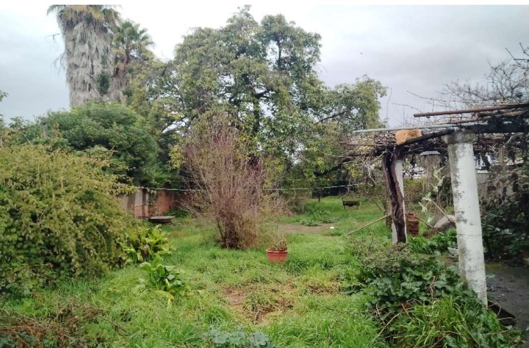 Vista del patio medio